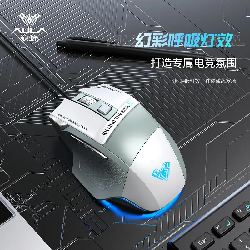 SOURIS Filaire Aula S12