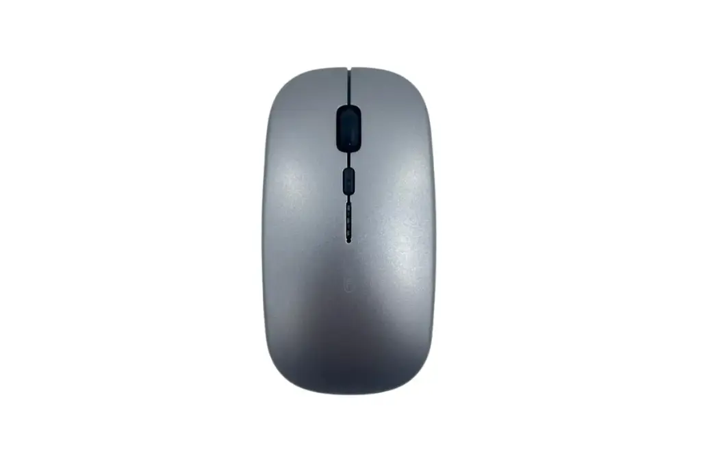 SOURIS_inphic_M1_WL