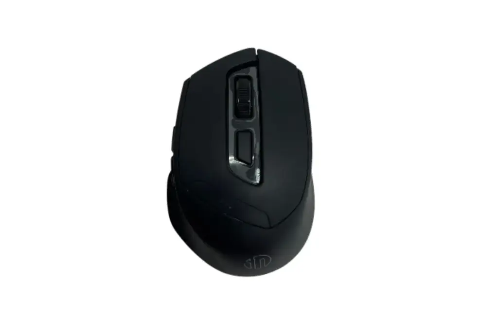 SOURIS_inphic_DR01_WL