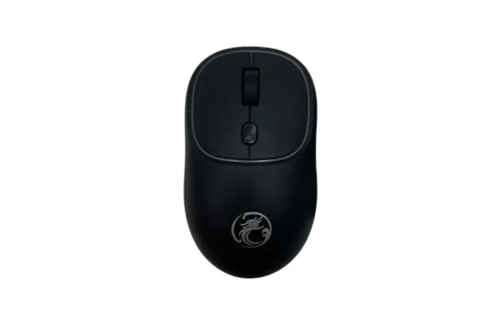 SOURIS_imice_g1600_WL