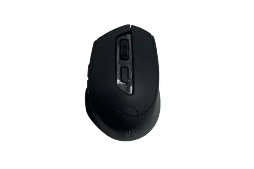 SOURIS_inphic_DR01_WL