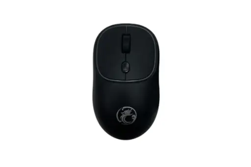 SOURIS_imice_g1600_WL